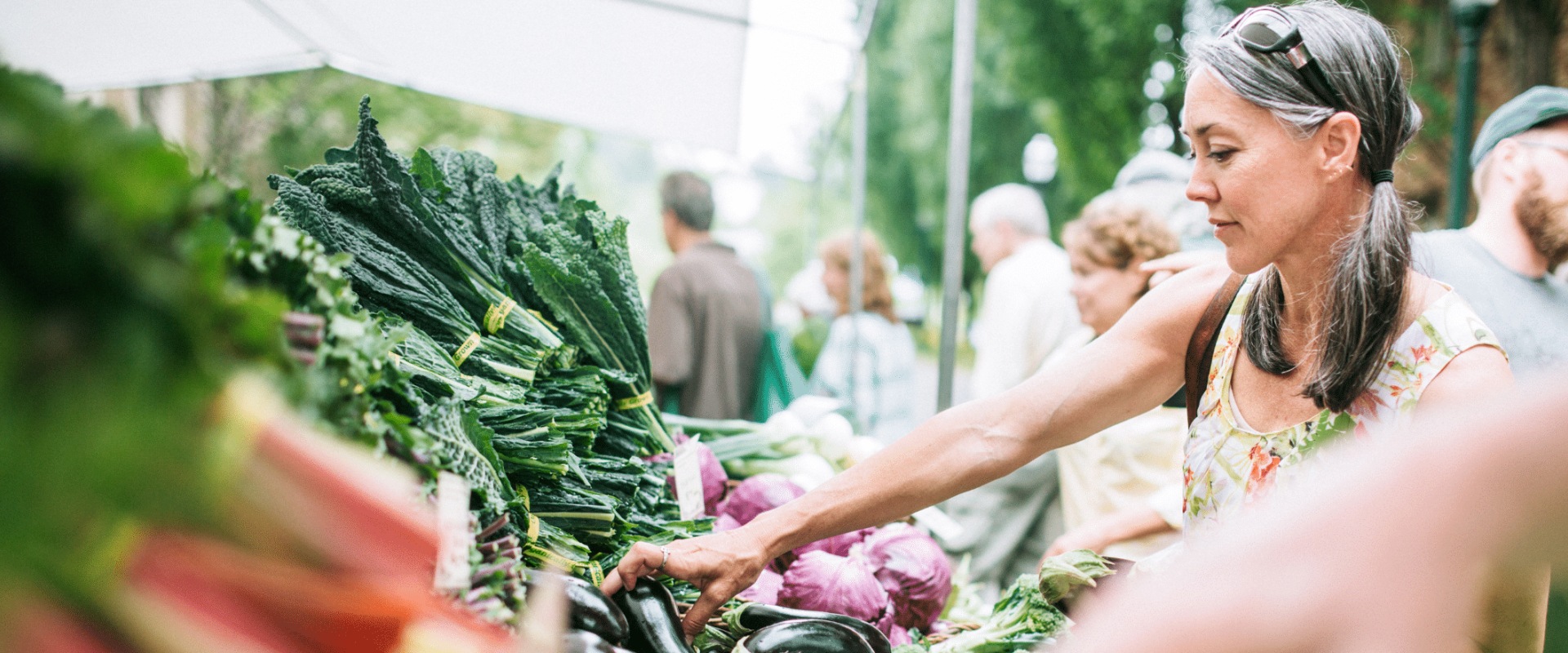 Budget-Friendly Florida: A Guide to Affordable Grocery Stores and Farmers' Markets