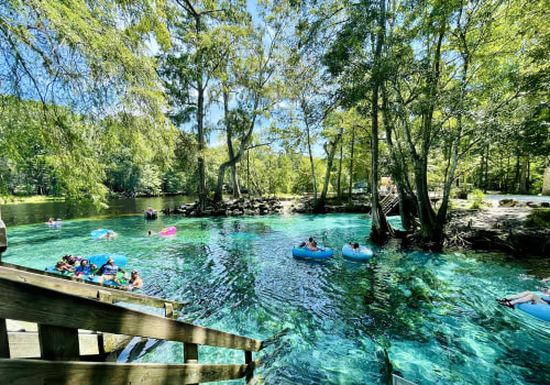 10 Affordable Cultural Experiences in Florida