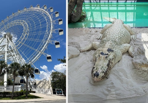 Explore Local Markets and Neighborhoods: Budget-Friendly Things to Do in Florida